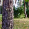 Resin Old Man Tree Hugger Bark Ghost Face Decoration Funny Tree Face DâˆšÂ©cor For Outdoor Yard Easter